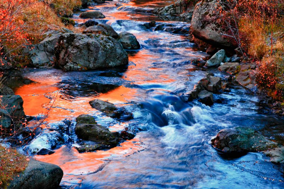 Reflejos de otoño